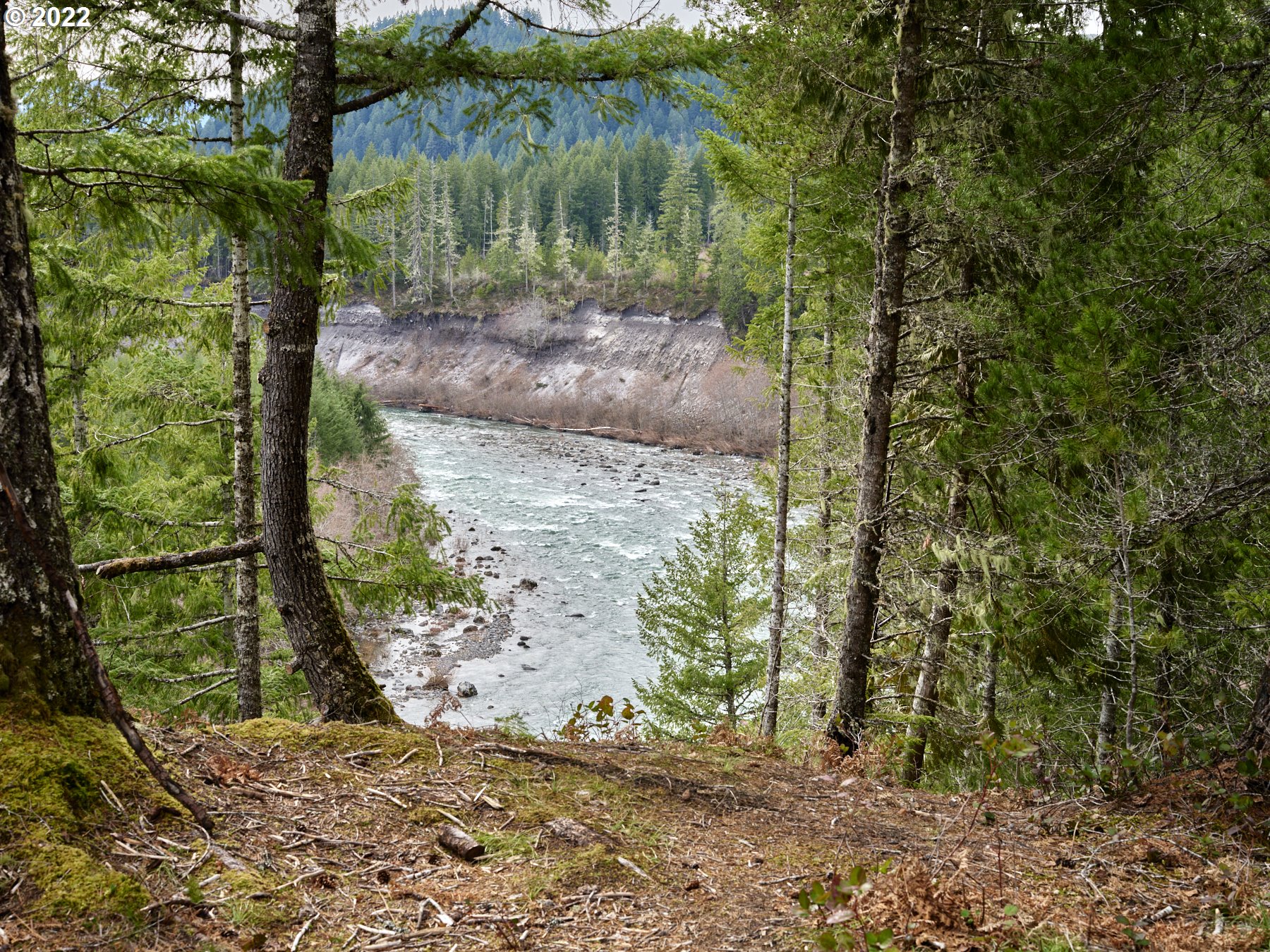 2 Lahar Lane Cougar, WA 98616 - Photo 1 of 7 a view of a yard