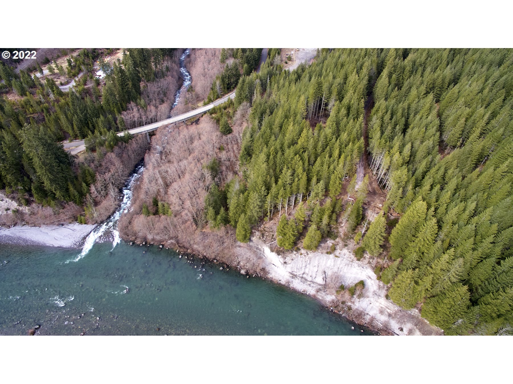 2 Lahar Lane Cougar, WA 98616 - Photo 6 of 7 a black and white photo of a green field