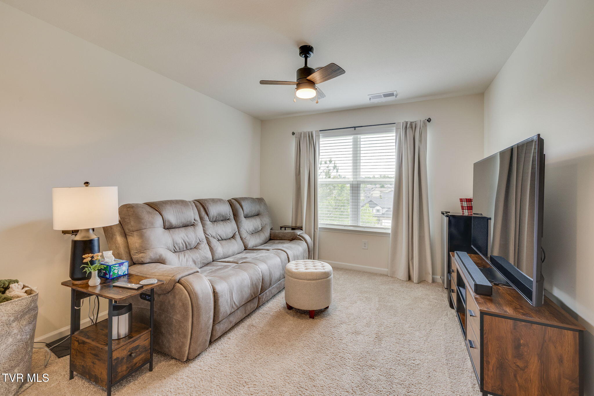 806 Barley Loop Jonesborough, TN 37659 - Photo 19 of 33 019