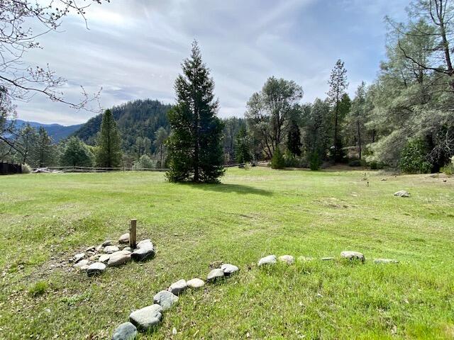 10041 Highway 299, Unit 299 Burnt Ranch, CA 95527 - Photo 16 of 44