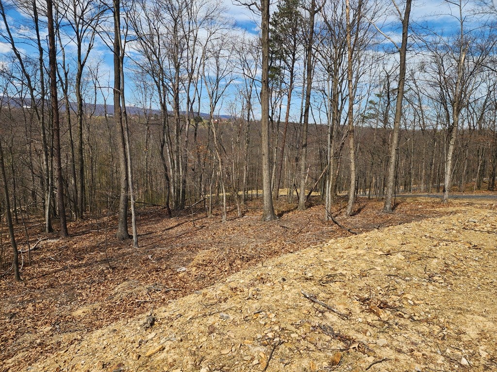 Lot 3 Ridgewood Manor Hesston, PA 16647 - Photo 4 of 10 Gallery Image 4