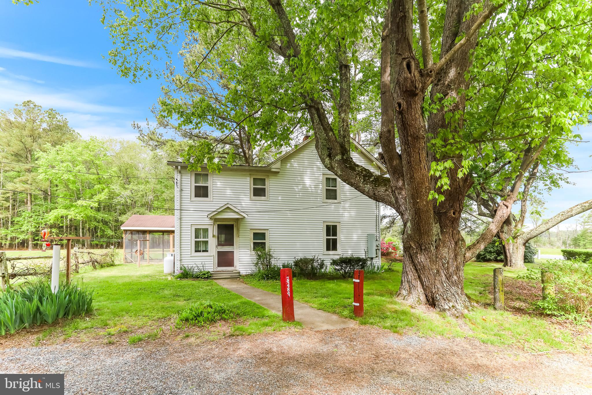 29989 Polks Road Princess Anne, MD 21853 - Photo 4 of 51