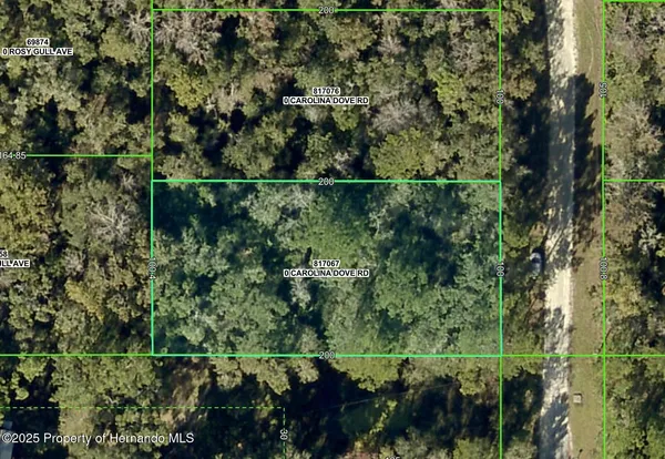 $35,000 | Lot 3 Carolina Dove Road, Weeki Wachee, FL 34614