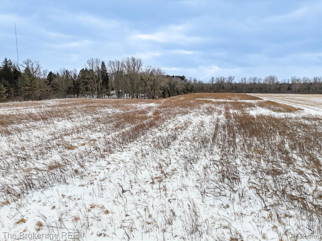 S Gera Road Birch Run, MI 48415 - Photo 19 of 21 Gallery Image 19