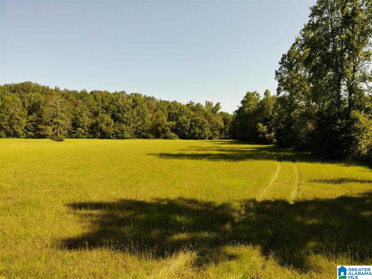 0 Antler Loop Rockford, AL 35136 - Photo 6 of 12