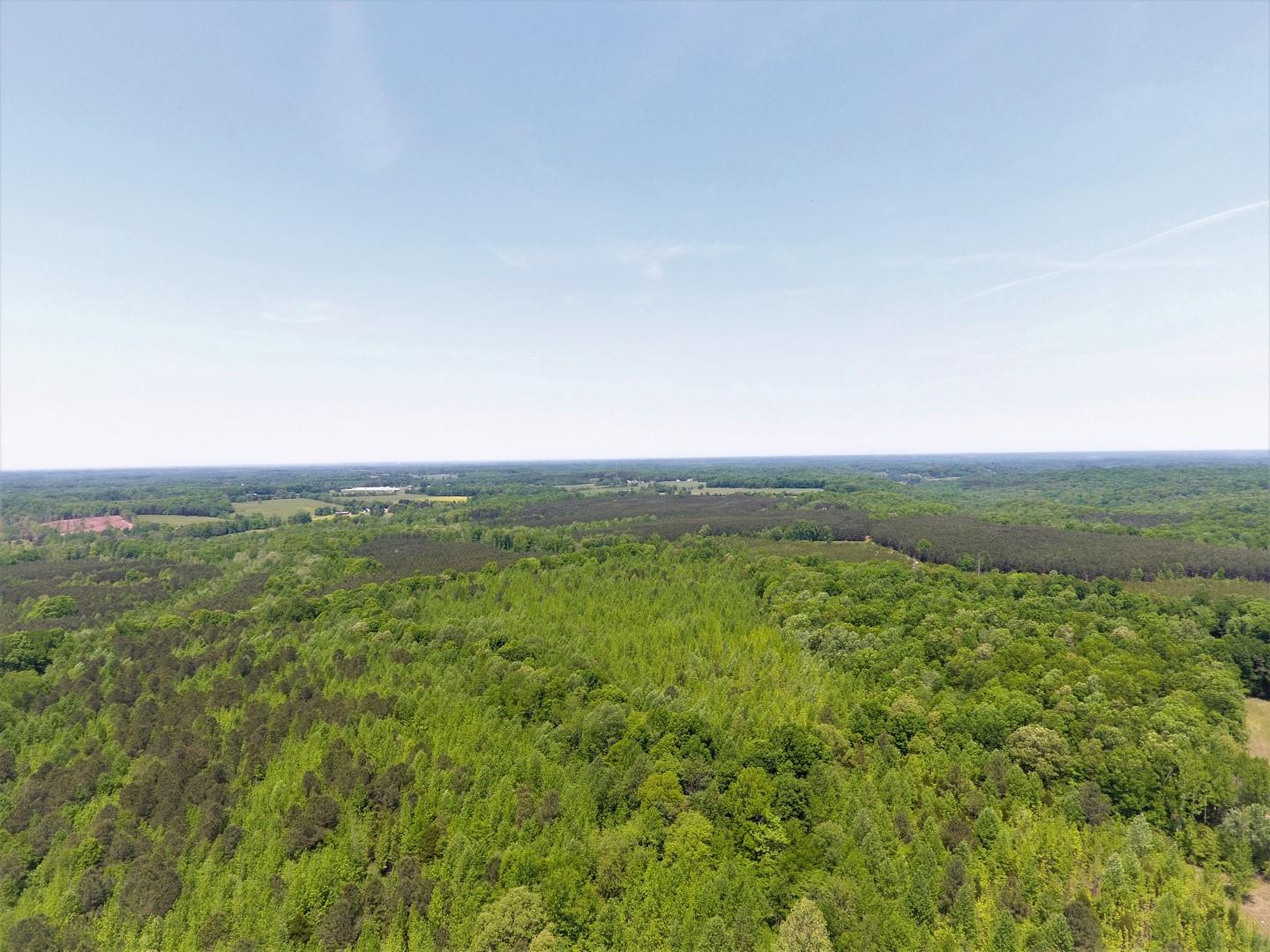 0 Johnson Branch Road Pulaski, TN 38478 - Photo 4 of 20