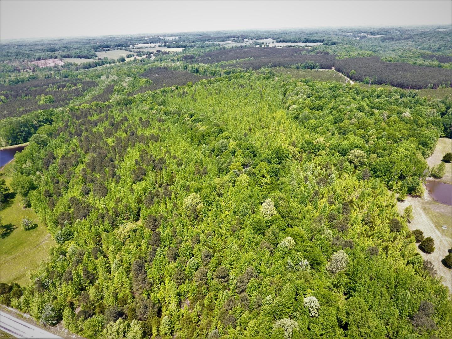 0 Johnson Branch Road Pulaski, TN 38478 - Photo 8 of 20
