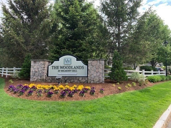 25 South Cottage Road, Unit 25 Belmont, MA 02478 - Photo 29 of 29 a view of a park that has large trees