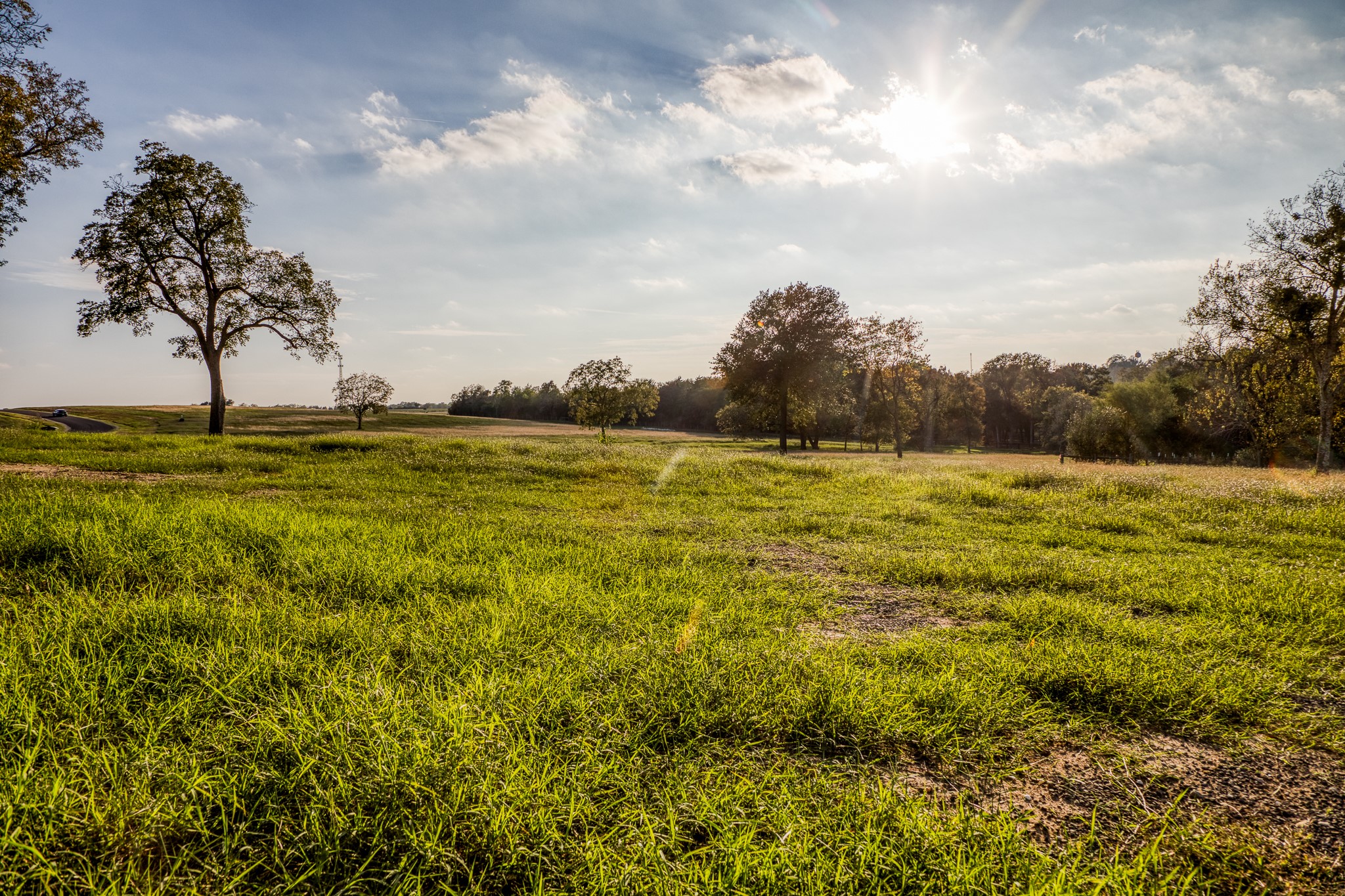 Tbd Tbd Sunshine Court Chappell Hill, TX 77426 - Photo 27 of 43 a view of a lake view