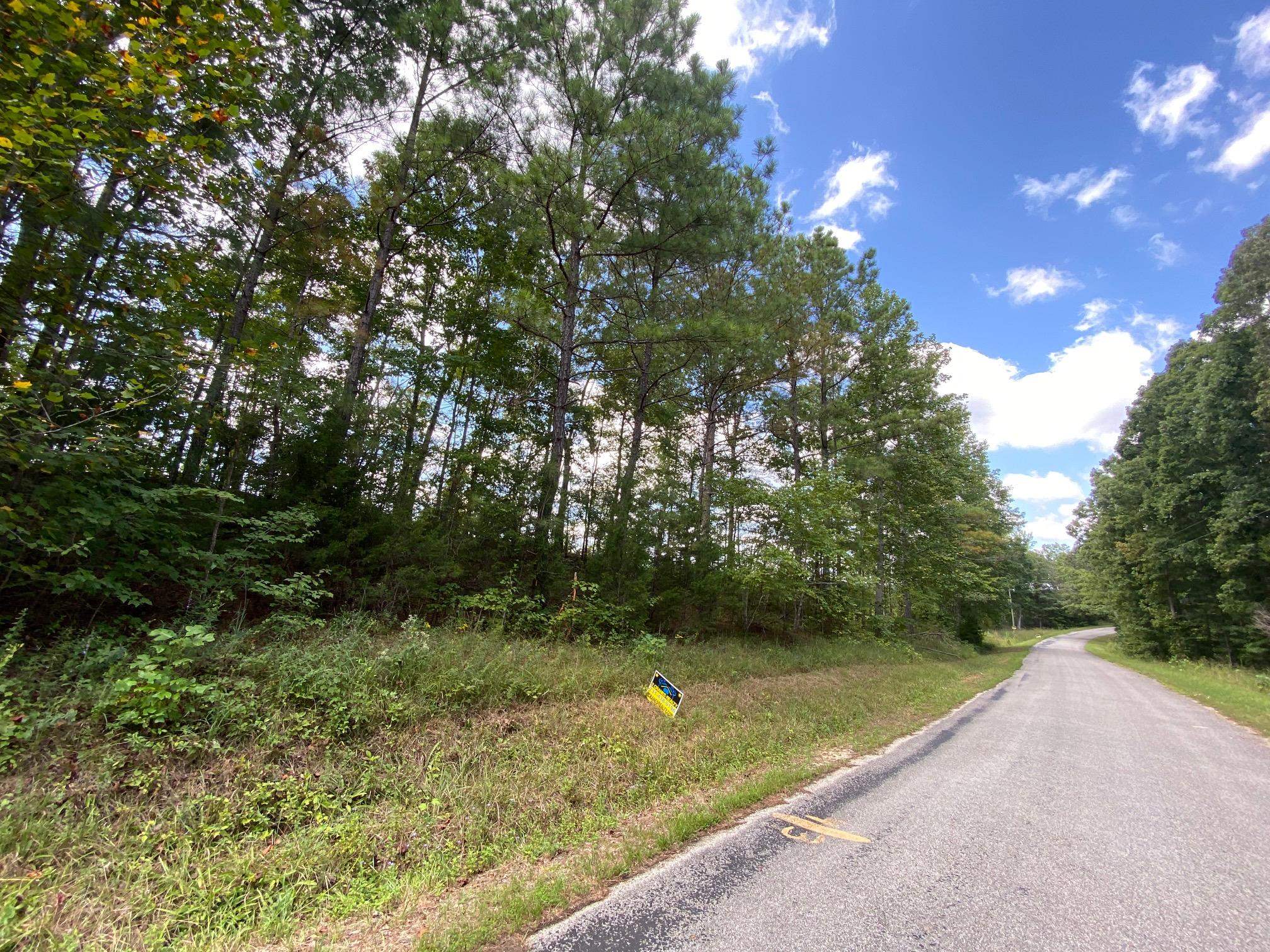 4 Cash School Road Enville, TN 38332 - Photo 3 of 15 View of road