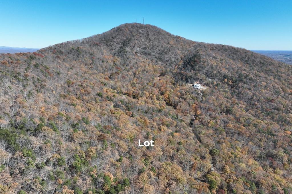 Lot 34 Wauka Ridge Road Cleveland, GA 30528 - Photo 8 of 14