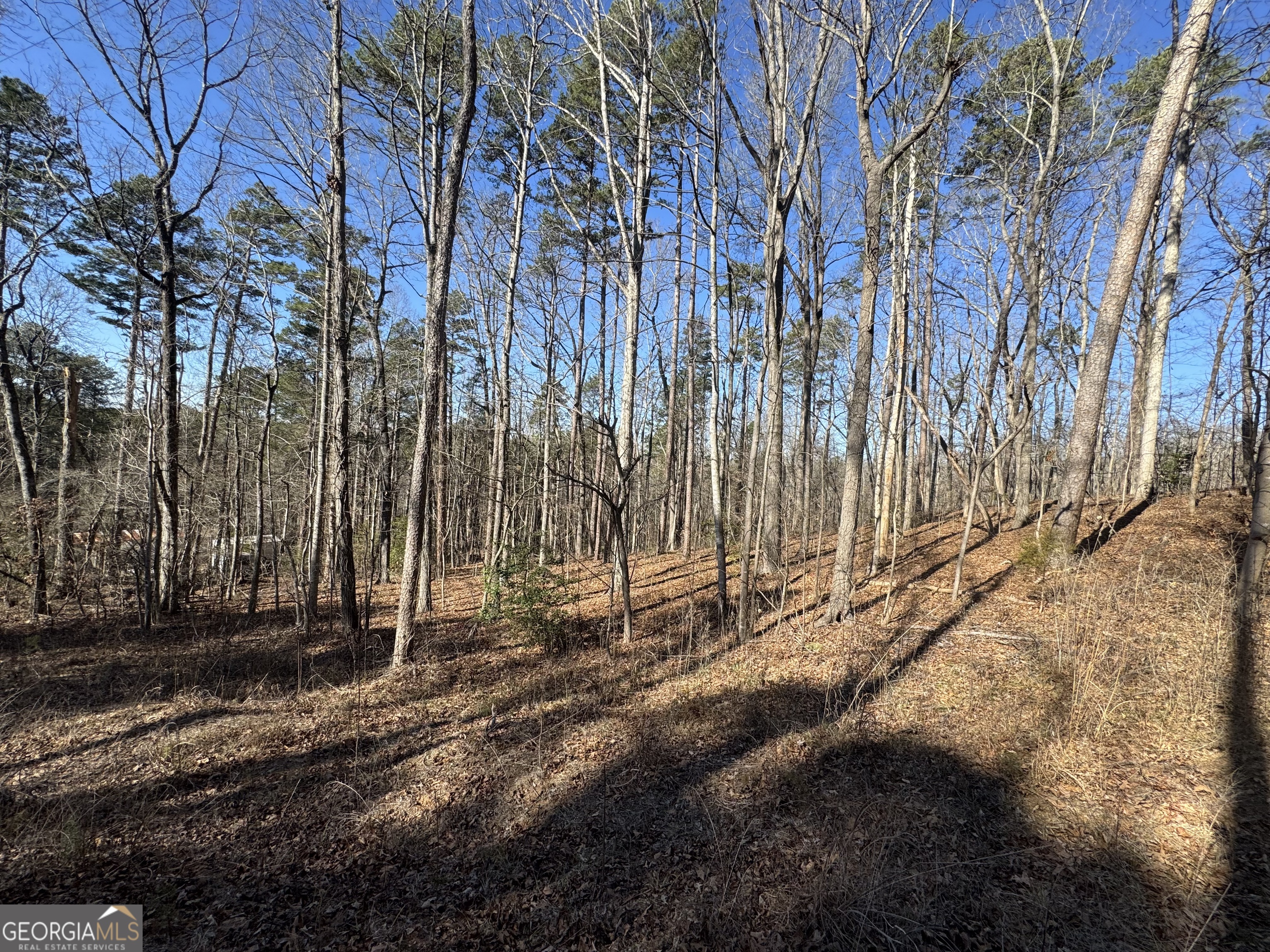 192 Mountain Trail Martin, GA 30557 - Photo 3 of 3