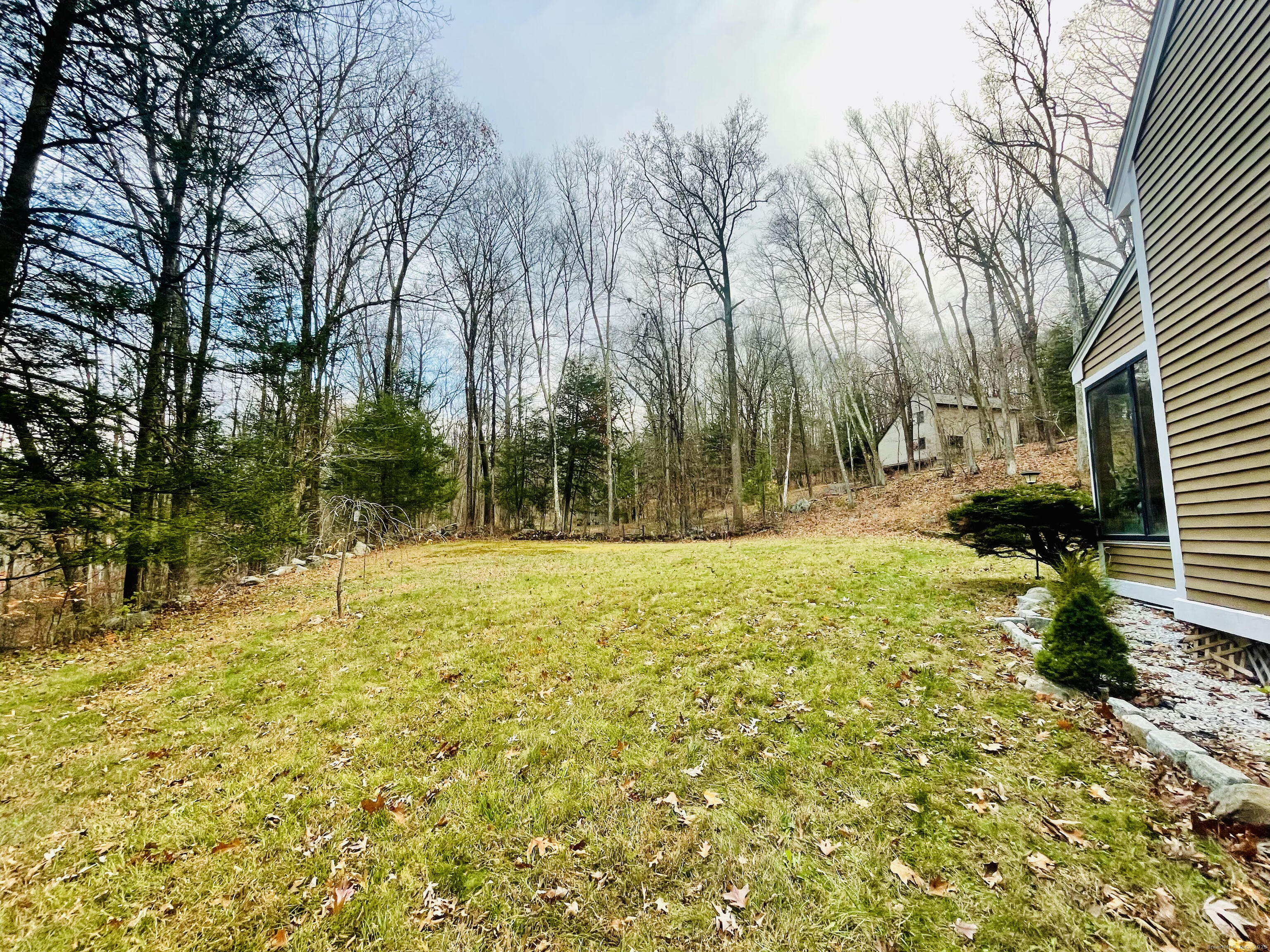 56 East Starrs Plain Road Danbury, CT 06810 - Photo 34 of 37 a view of backyard with tree