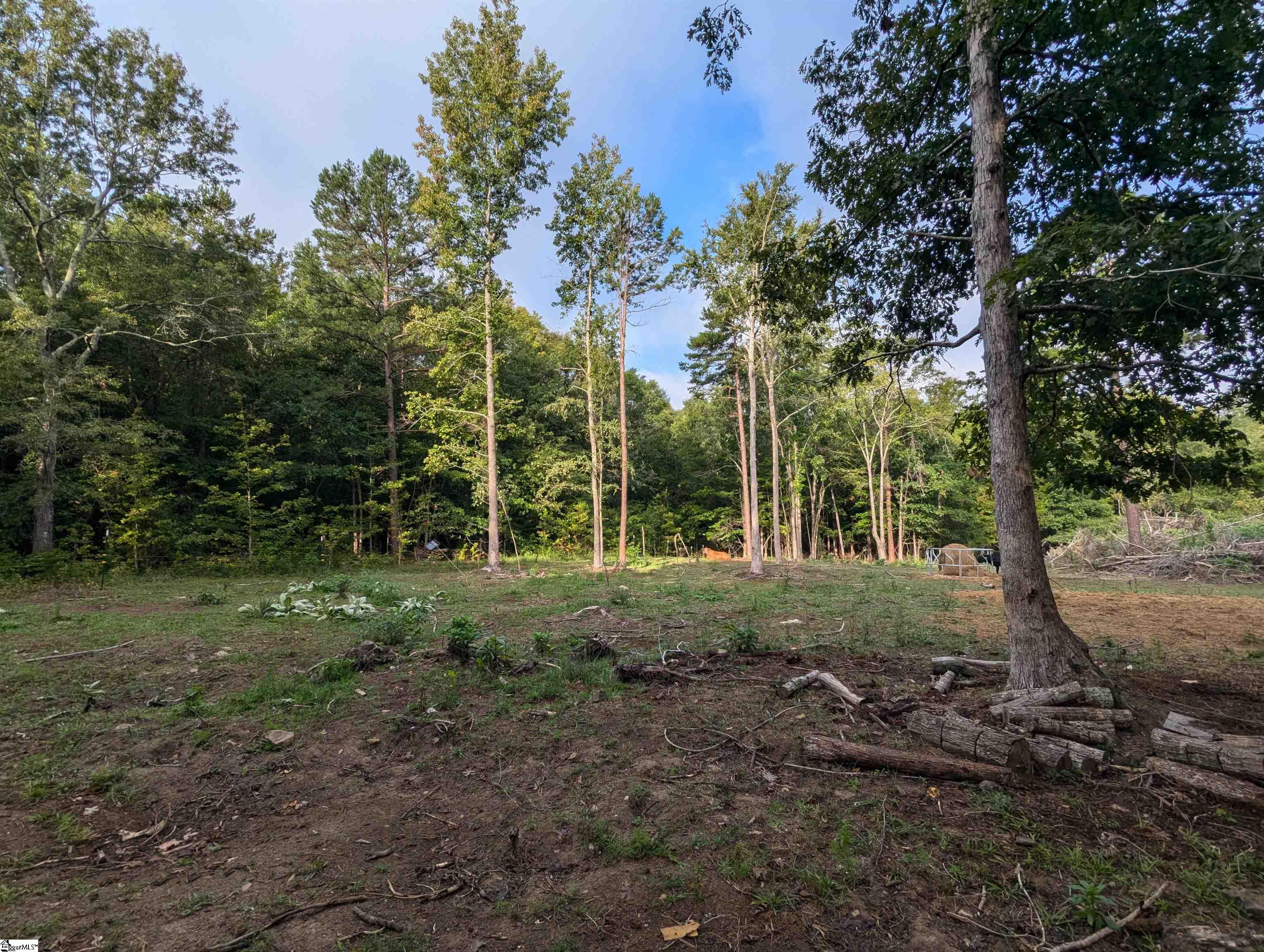 311 Ball Road Honea Path, SC 29654 - Photo 19 of 26