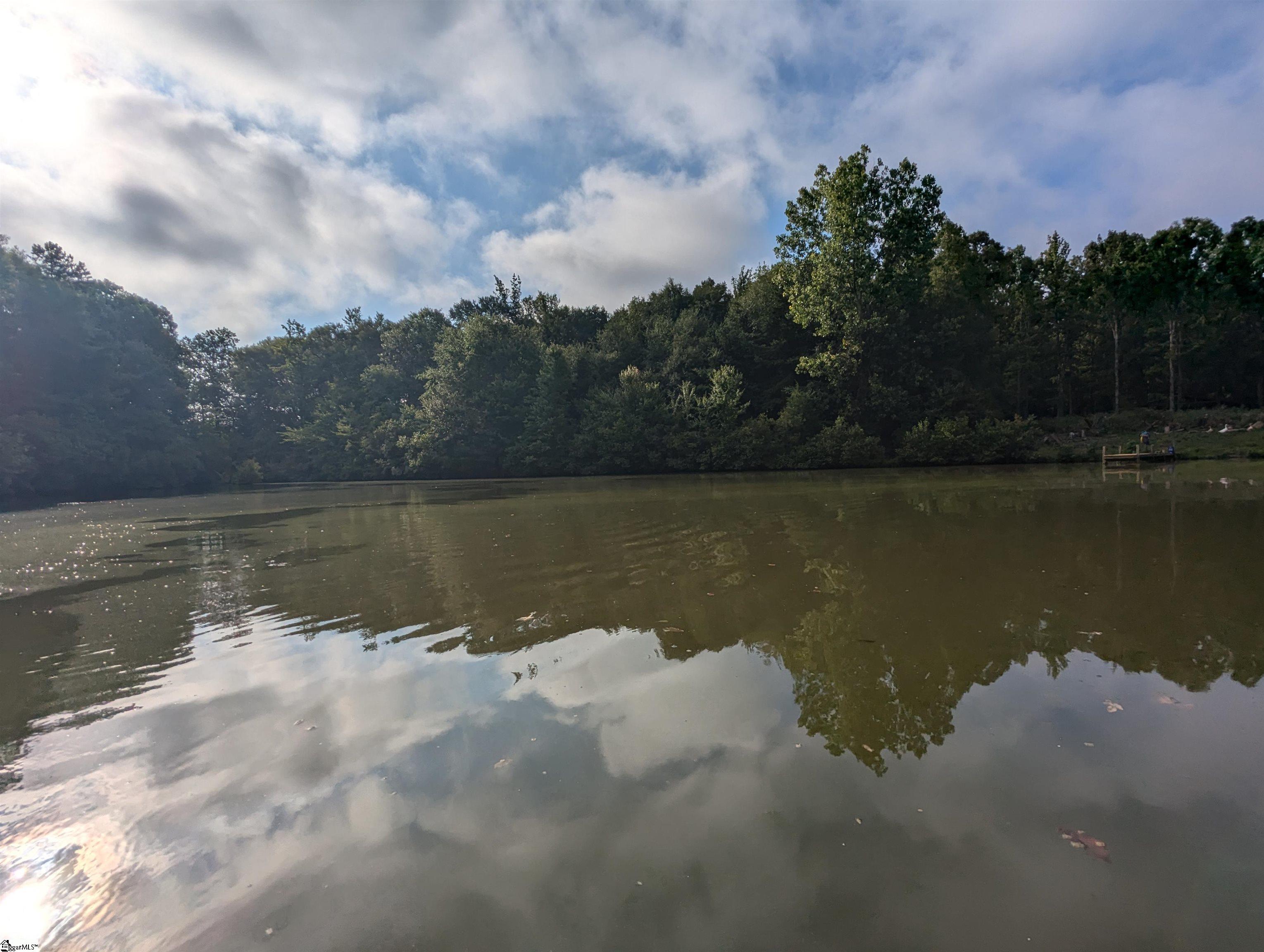 311 Ball Road Honea Path, SC 29654 - Photo 20 of 26