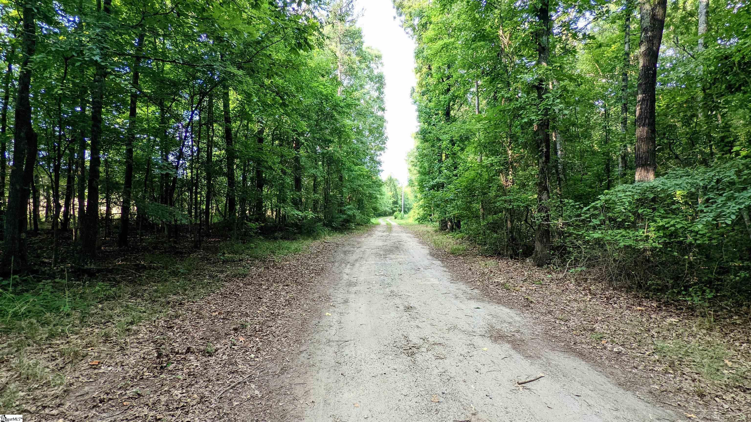 311 Ball Road Honea Path, SC 29654 - Photo 9 of 26