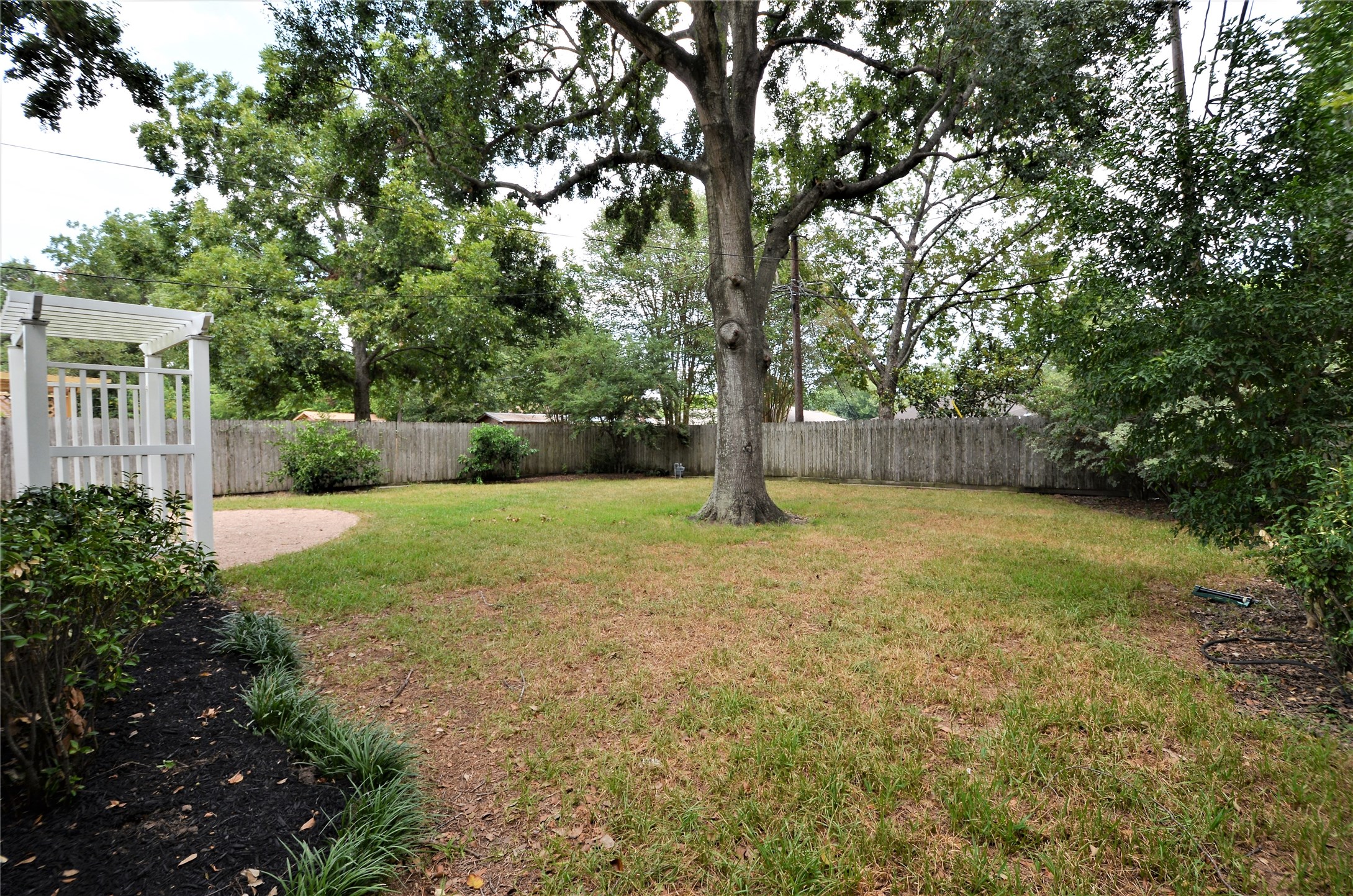 1902 Coulcrest Drive Houston, TX 77055 - Photo 20 of 27 a view of a yard with plants and trees