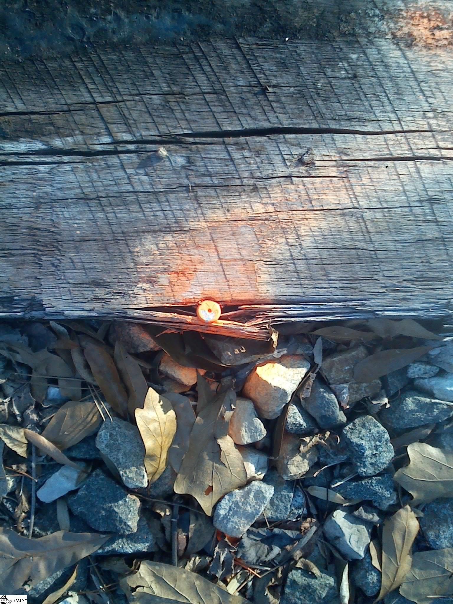 91 Settle Street Campobello, SC 29322 - Photo 3 of 8