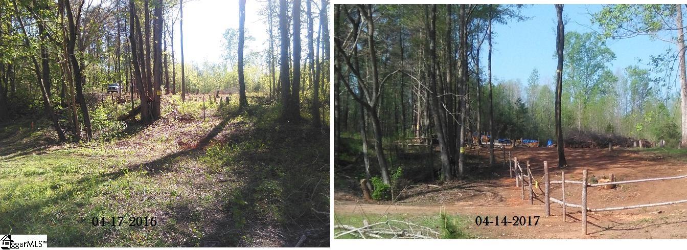 91 Settle Street Campobello, SC 29322 - Photo 6 of 8