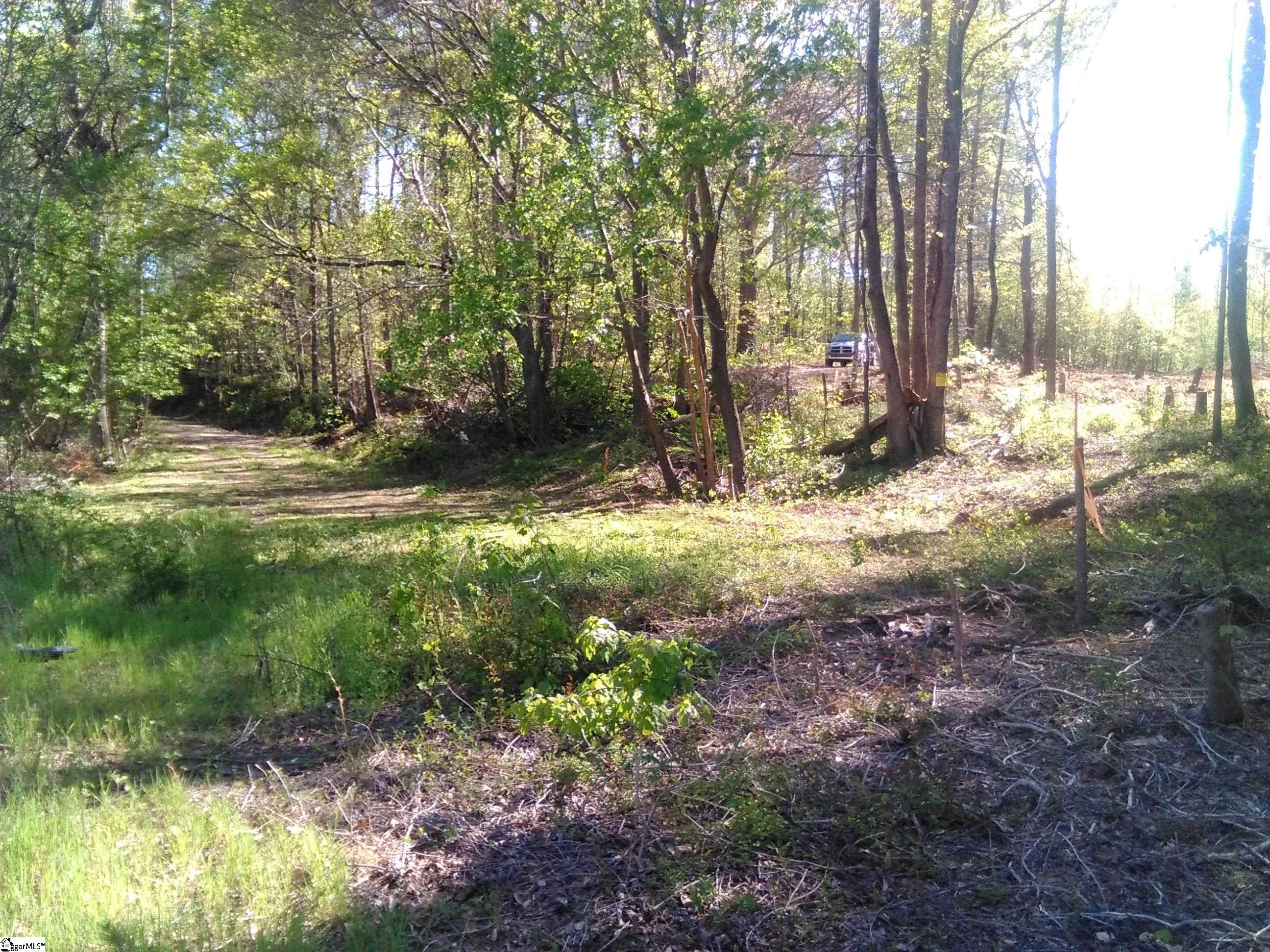 91 Settle Street Campobello, SC 29322 - Photo 7 of 8