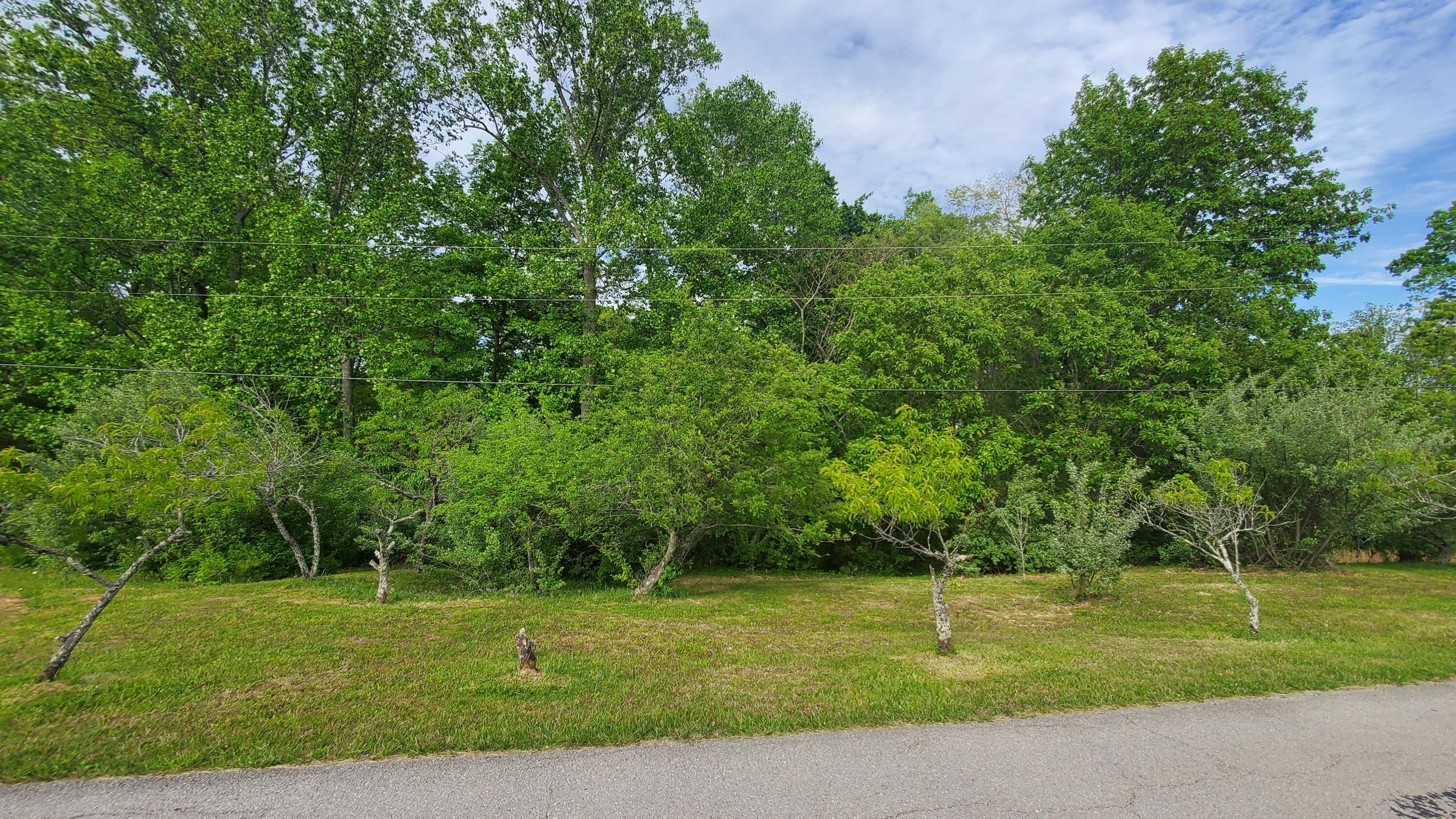 Lot 35-36 Burton Subdivision Road Nancy, KY 42544 - Photo 8 of 14 20230505_175458