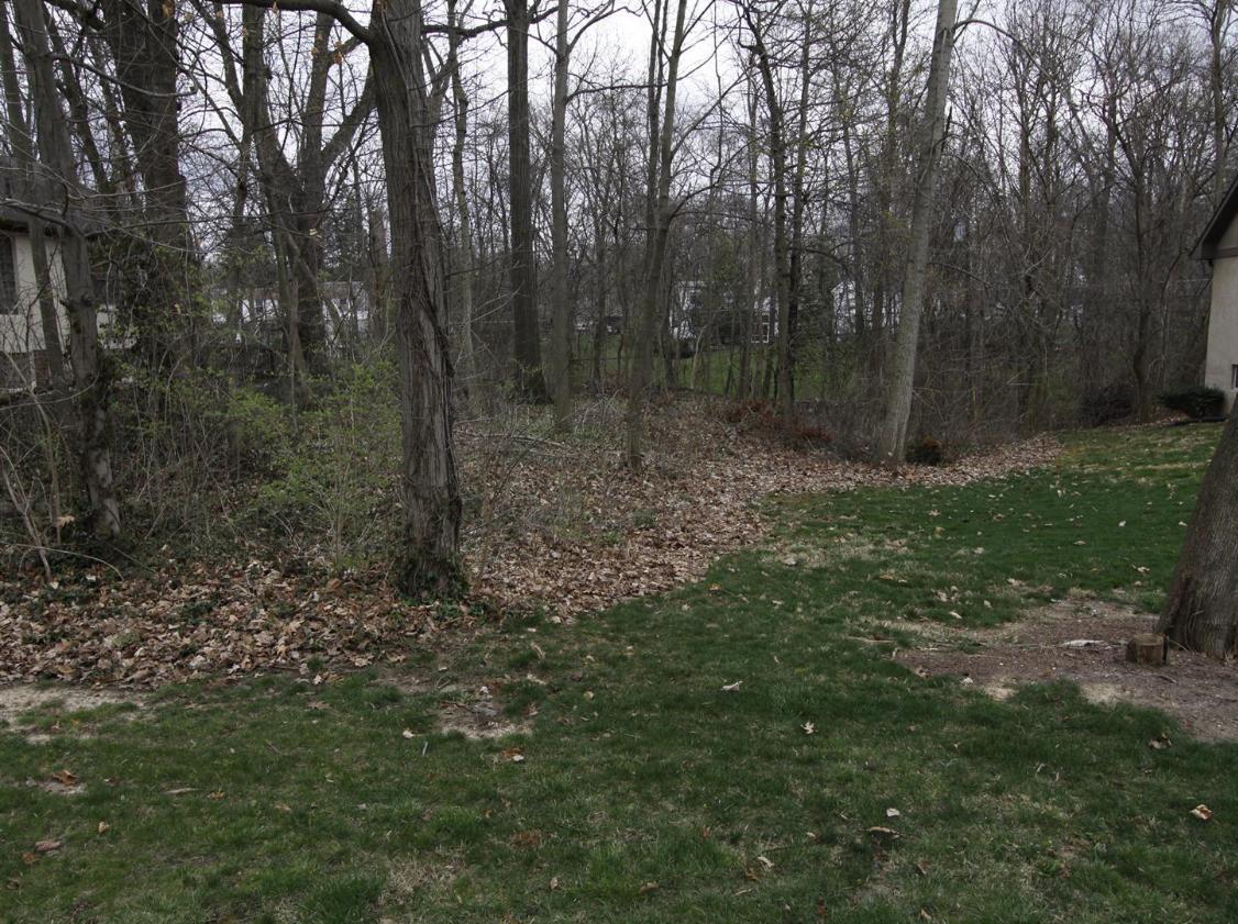 0 Minerva Lake Road Columbus, OH 43231 - Photo 3 of 3