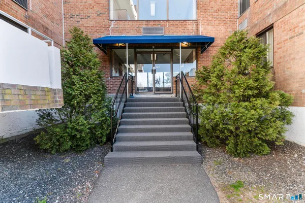 a view of a garden with plants