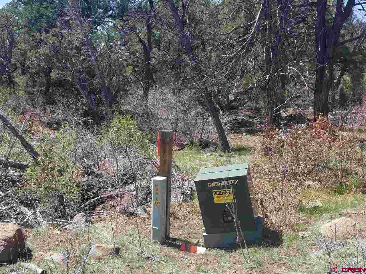 Tbd High Park Road Cedaredge, CO 81413 - Photo 2 of 2