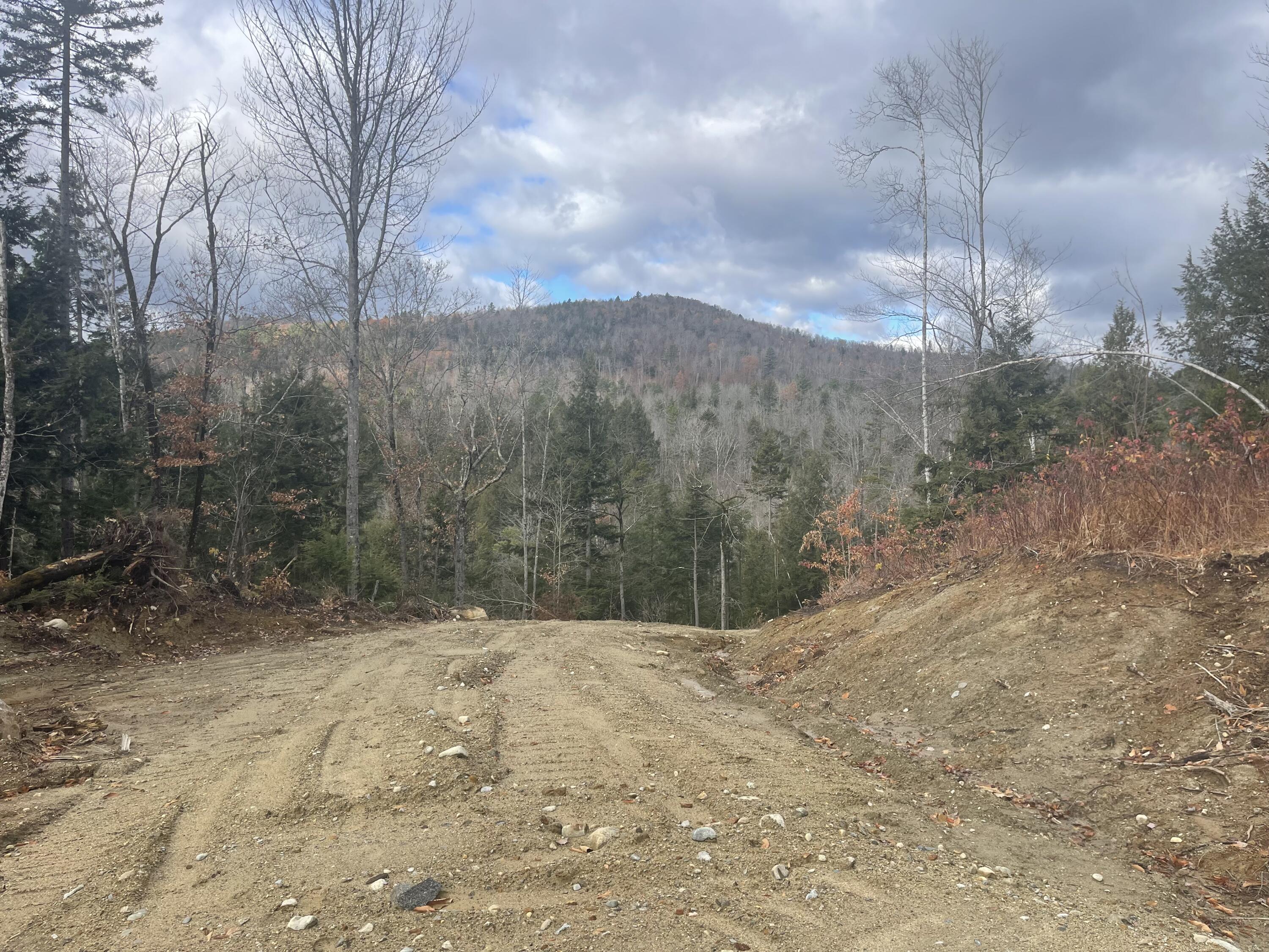 Lot 27-001 Coburn Brook Road Rumford, ME 04276 - Photo 7 of 10 IMG_4036