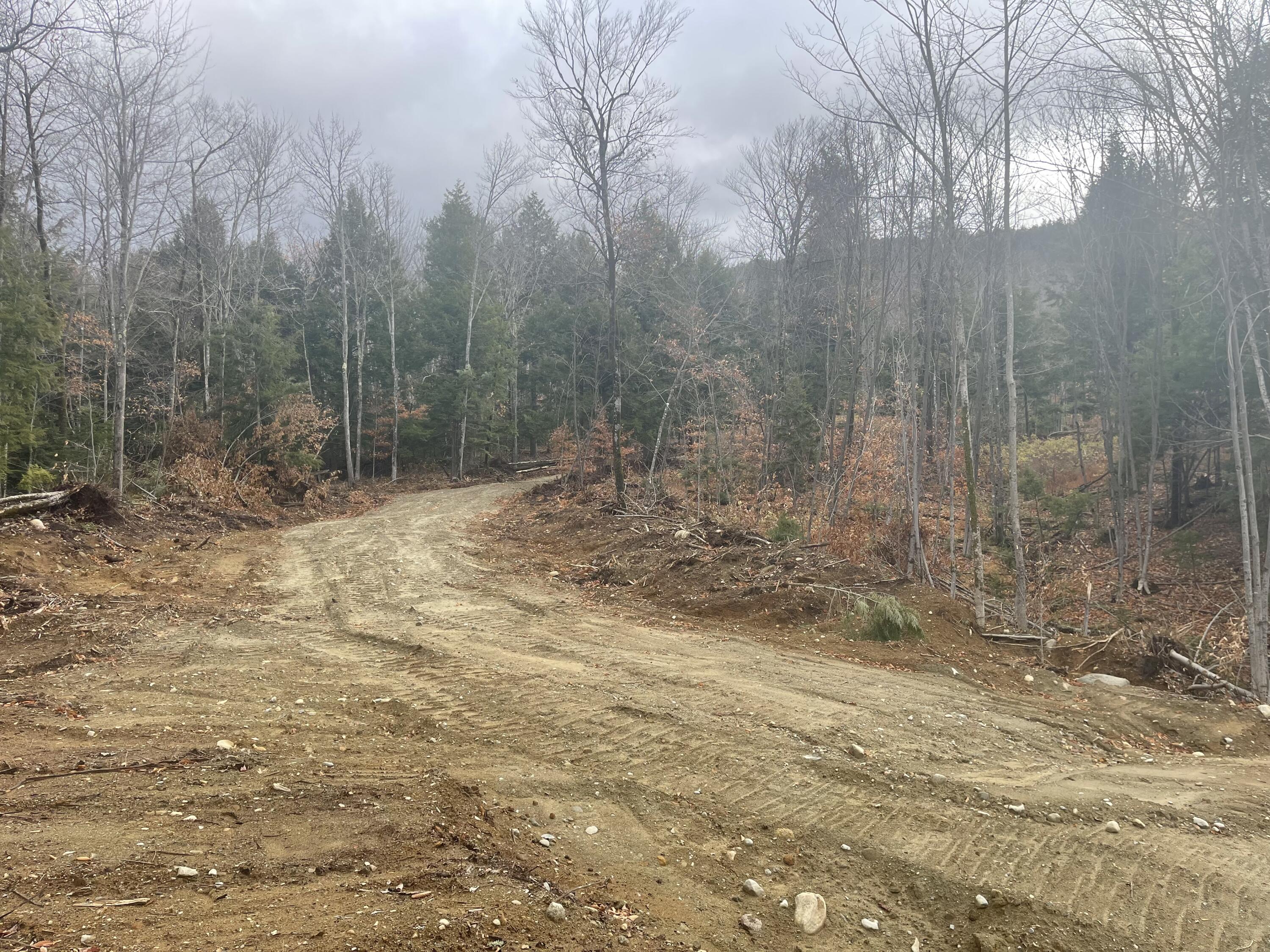 Lot 27-001 Coburn Brook Road Rumford, ME 04276 - Photo 8 of 10 IMG_4032