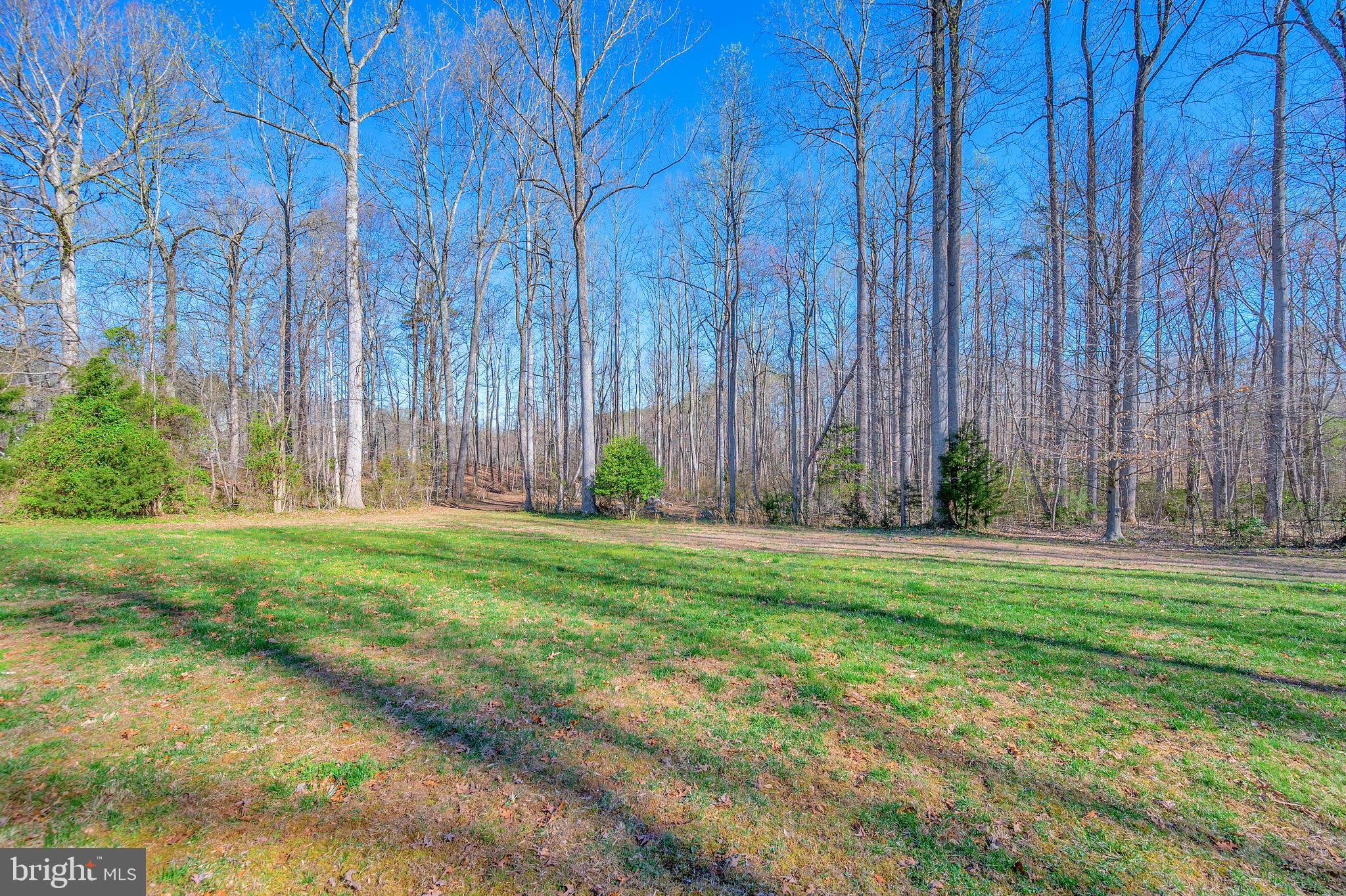 5224 Courtneys Corner Road Sumerduck, VA 22742 - Photo 5 of 40