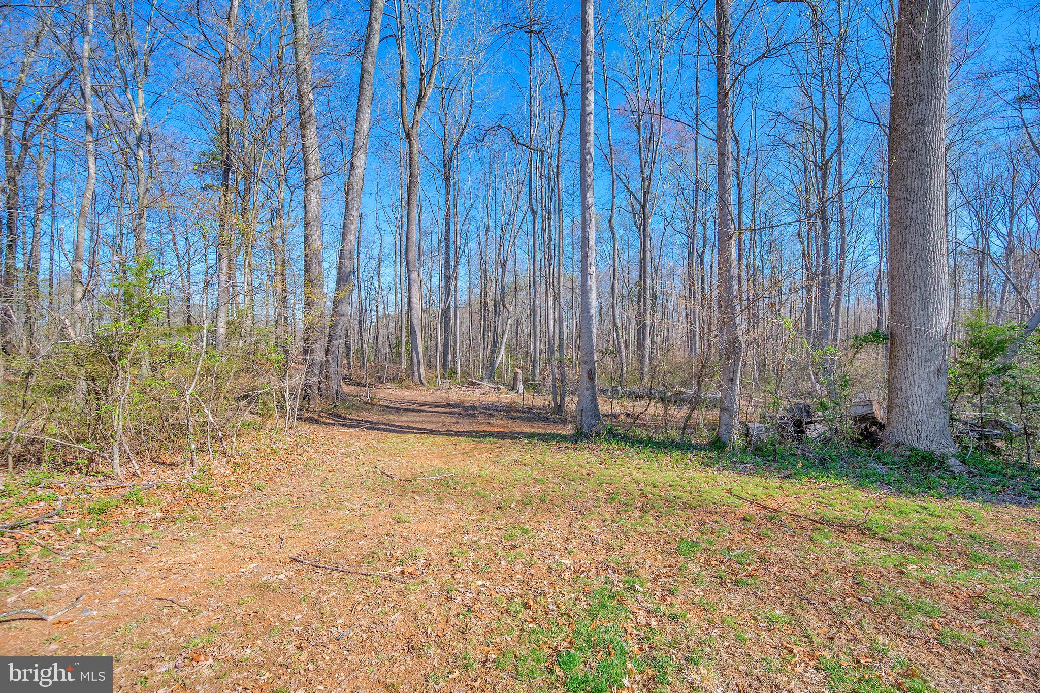 5224 Courtneys Corner Road Sumerduck, VA 22742 - Photo 6 of 40
