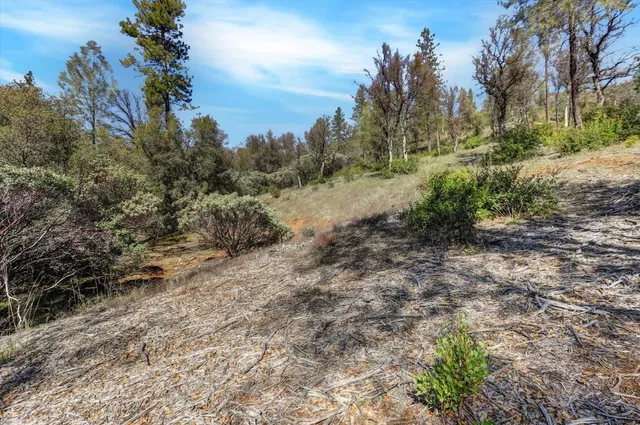 a big yard with lots of green space
