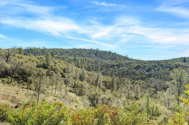 a black and white photo of a