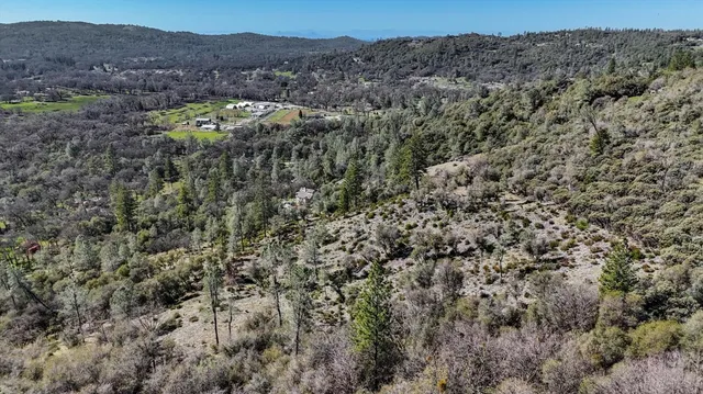a view of a lot of trees and bushes
