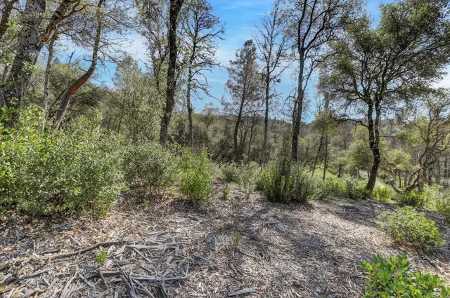 a view of a yard with lots of green space