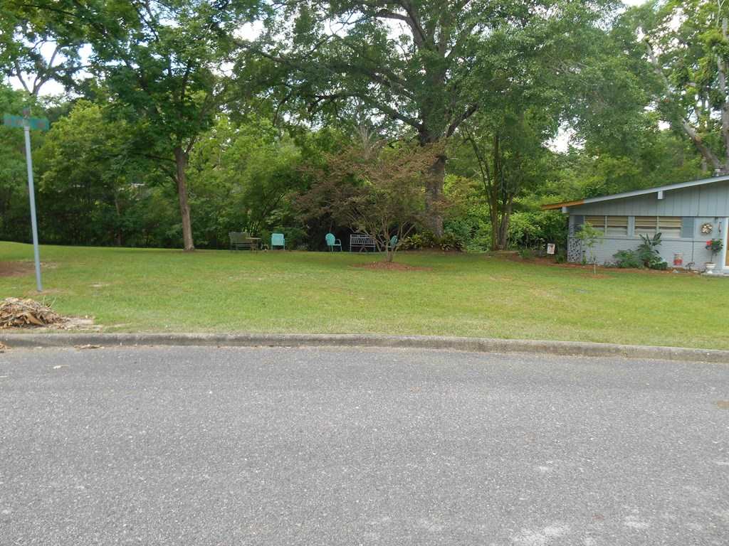 301 Pierce Street Opp, AL 36467 - Photo 23 of 23 Gallery Image 23