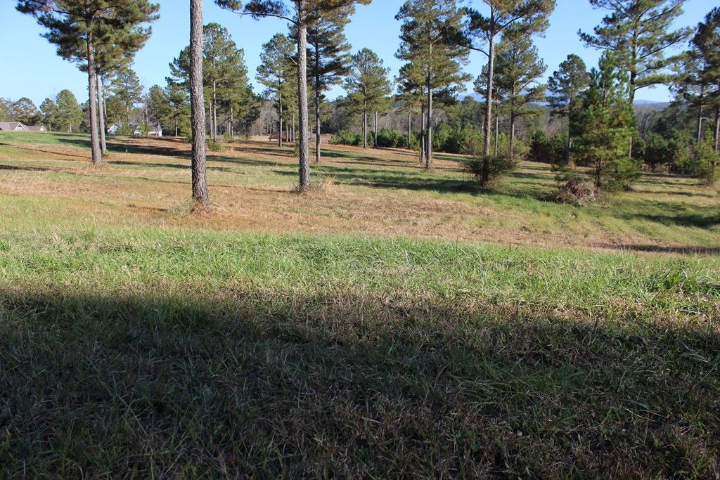141 Bob White Road Ocoee, TN 37361 - Photo 7 of 13 Gallery Image 7