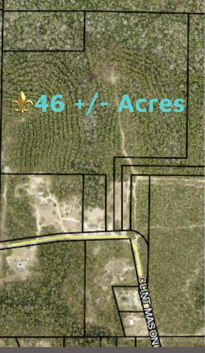 46-acres Clint Mason Road Crestview, FL 32539 - Photo 1 of 10 CBBD0054-83F3-4D02-A376-040ECE7F4C93