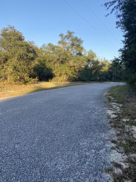 46-acres Clint Mason Road Crestview, FL 32539 - Photo 6 of 10 98576FA4-0669-44E8-AECE-B72B2E6B0552