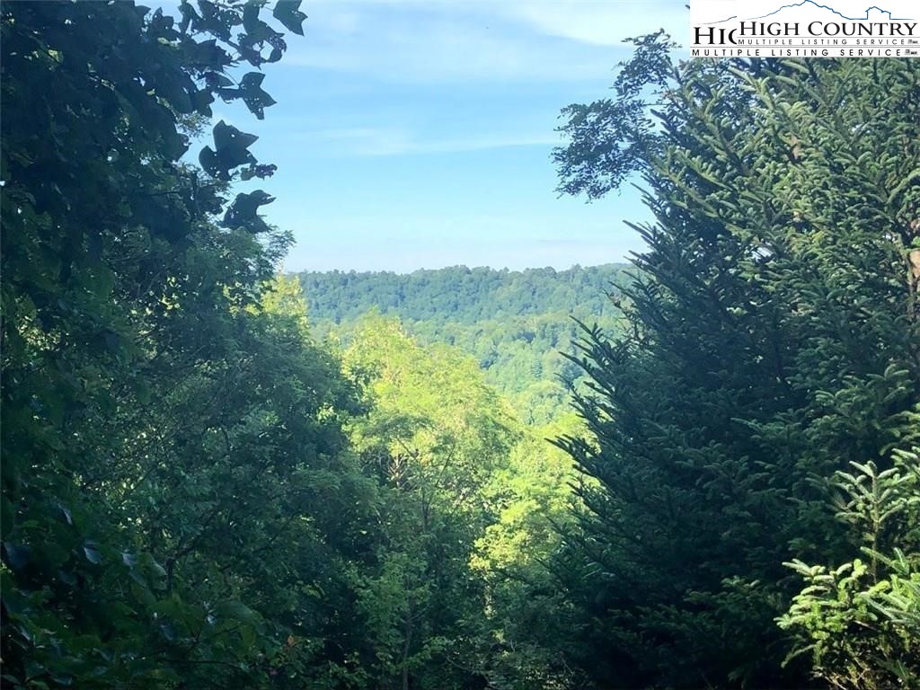 Johnson Farms Roads Lansing, NC 28643 - Photo 3 of 14 a view of a lush green forest with lots of trees