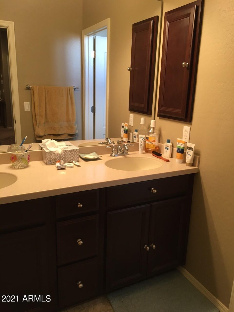 7125 West Carter Road Laveen, AZ 85339 - Photo 20 of 32 carter guest bath