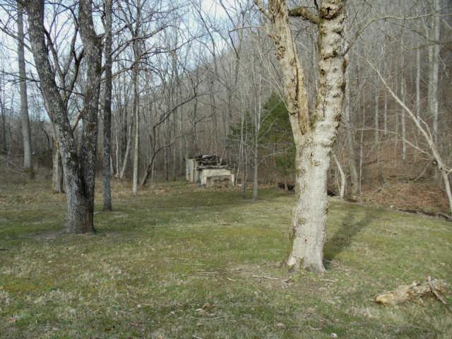785 Cates Road Lawrenceburg, TN 38464 - Photo 13 of 17 a view of yard