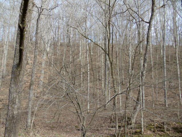 785 Cates Road Lawrenceburg, TN 38464 - Photo 15 of 17 a close up of a shower