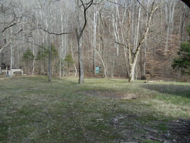785 Cates Road Lawrenceburg, TN 38464 - Photo 16 of 17 a view of a tree in the middle of a yard