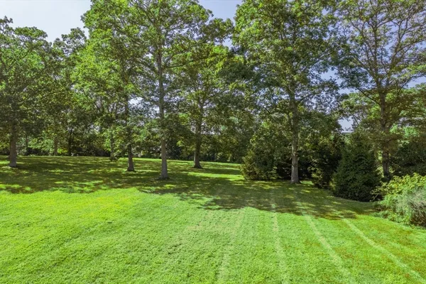 a view of a park