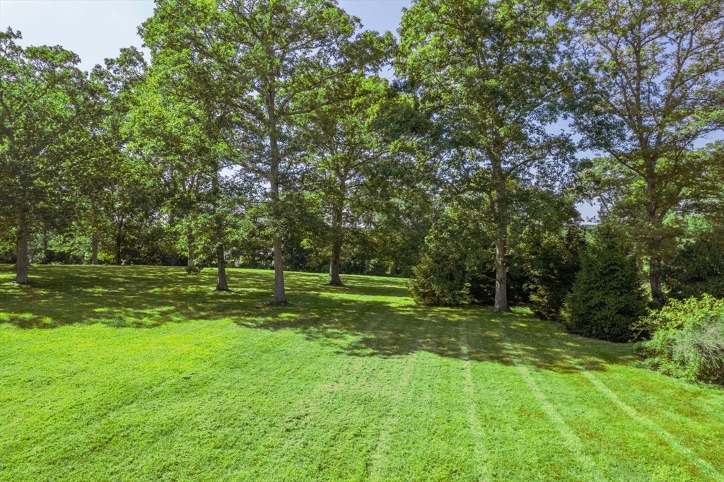 26 Flint Hill Road Vineyard Haven, MA 02568 - Photo 2 of 13 a view of a park