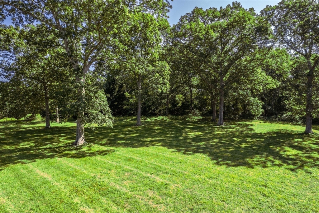 26 Flint Hill Road Vineyard Haven, MA 02568 - Photo 4 of 13 a backyard of a house with lots of green space