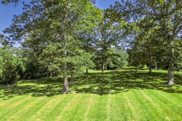 a view of a field with a tree