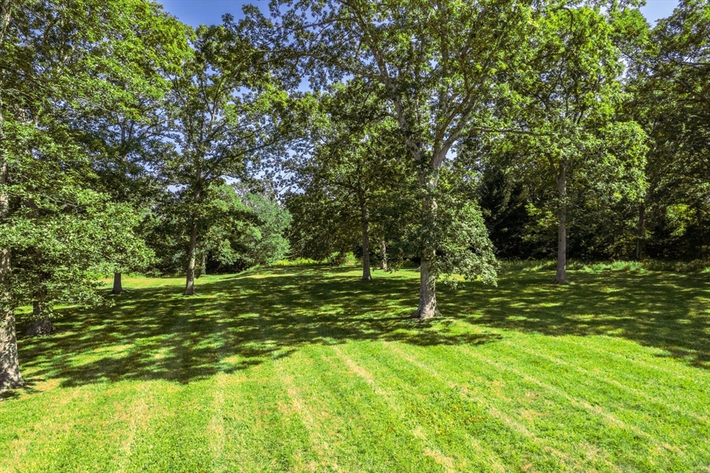 26 Flint Hill Road Vineyard Haven, MA 02568 - Photo 8 of 13 a big yard with lots of green space and trees